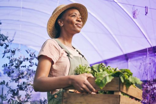 woman carrying plants